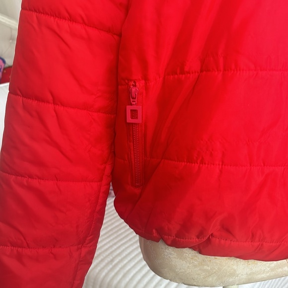 Bright Red Puffer - Picture 3 of 4